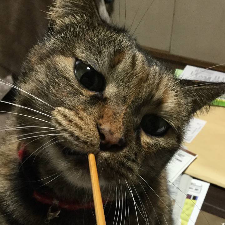 5435af9a 629a 4ac0 977e 99fe976903ef