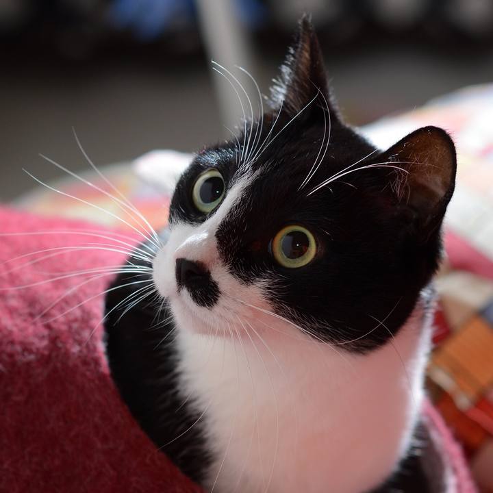 543603b1 1f57 4579 9595 05291585438b