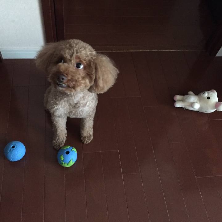 54363ce5 5bd1 4882 ab5f f2d5bfd2acc0