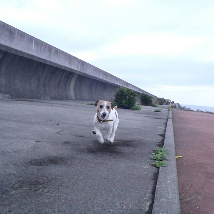 5436bc5c c277 4a26 87f6 843e07b5f9a5