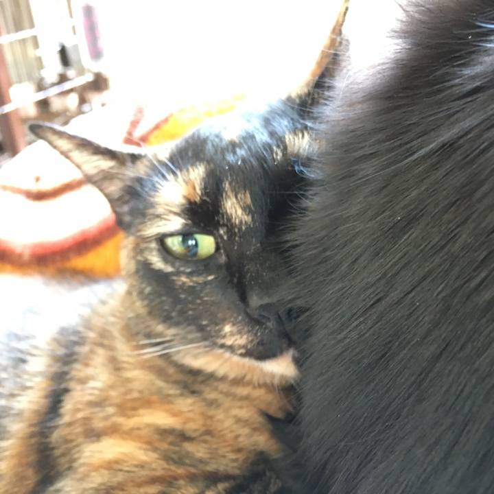 543707ba 0a09 46b5 9c48 73c53c6ffd9f