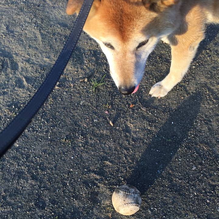 5437cca2 7b8e 49be 89bd a3dfe1662ab0