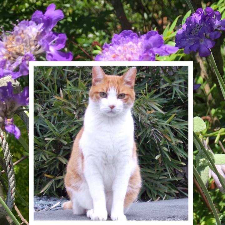 5437d89d e05d 4306 ae71 f9dc57b7d334