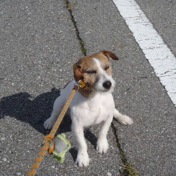 543833ca 15ce 4dc6 baf0 d17d1e7c143f