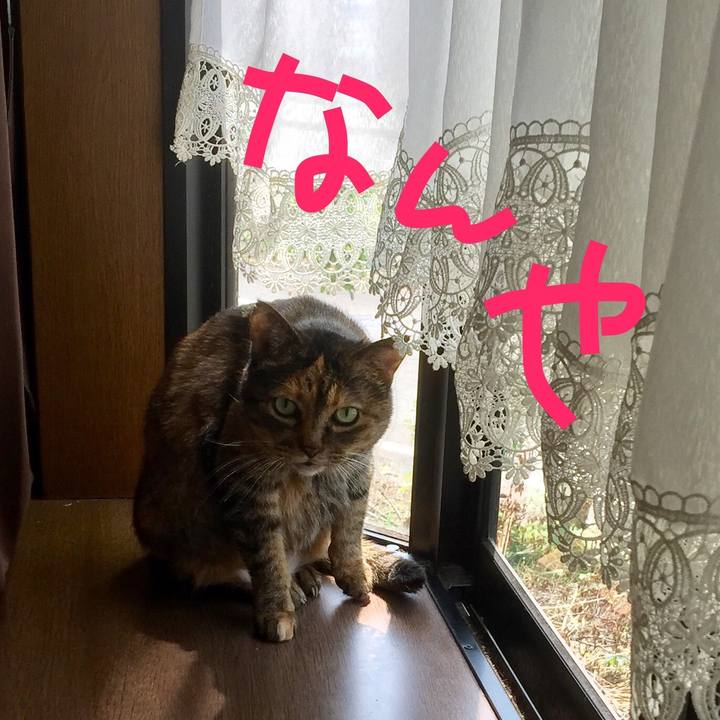 54395ff5 b107 4c59 aef0 27f90711f2ad