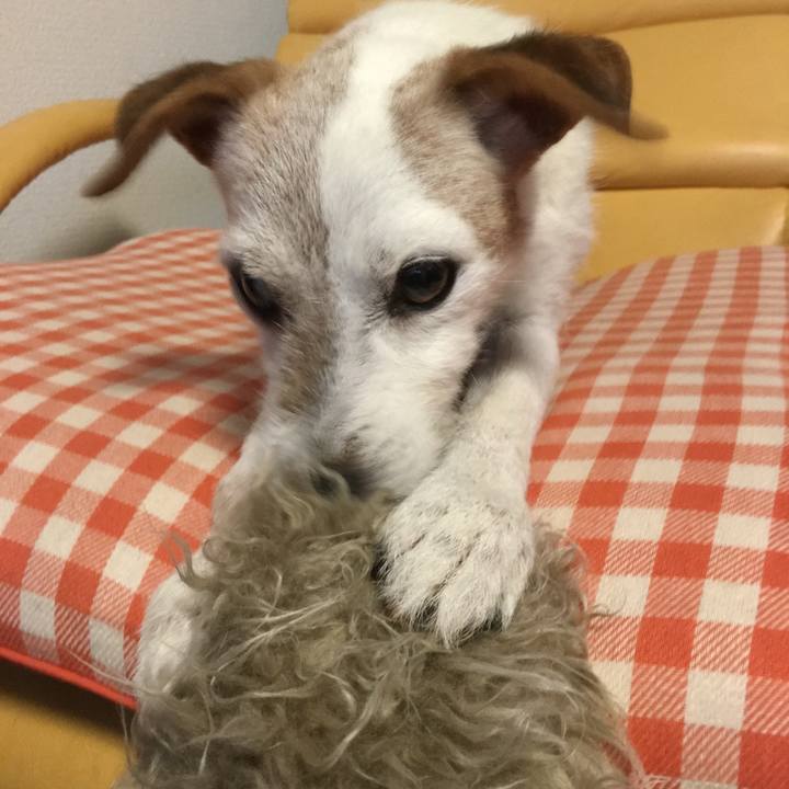 543995a7 fb49 4f39 acfc b5c2734d348f