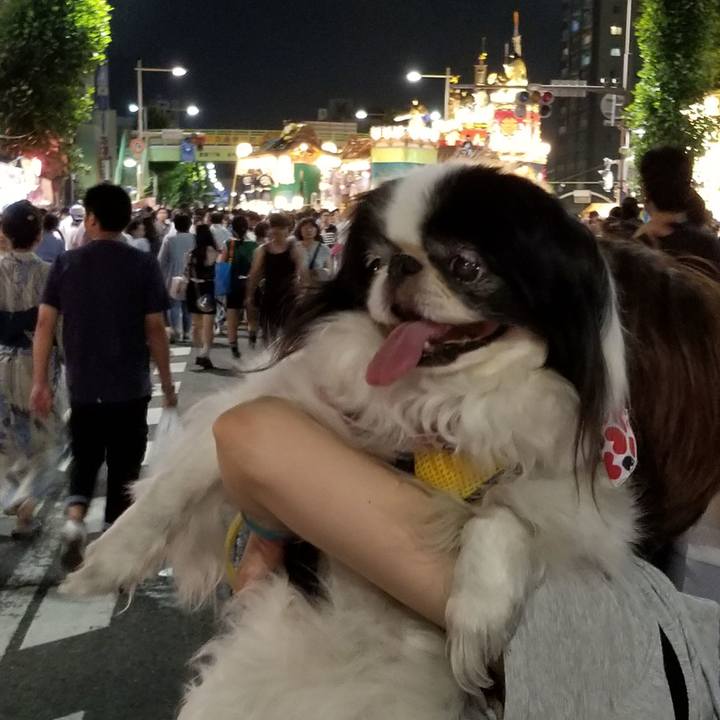 543a7ec5 69e7 4461 94b0 19c6b63ad962