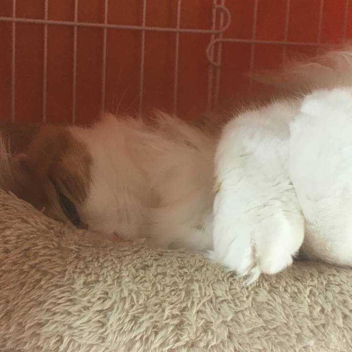 543ac658 bbd2 4a52 b7e3 69bbaede9a78