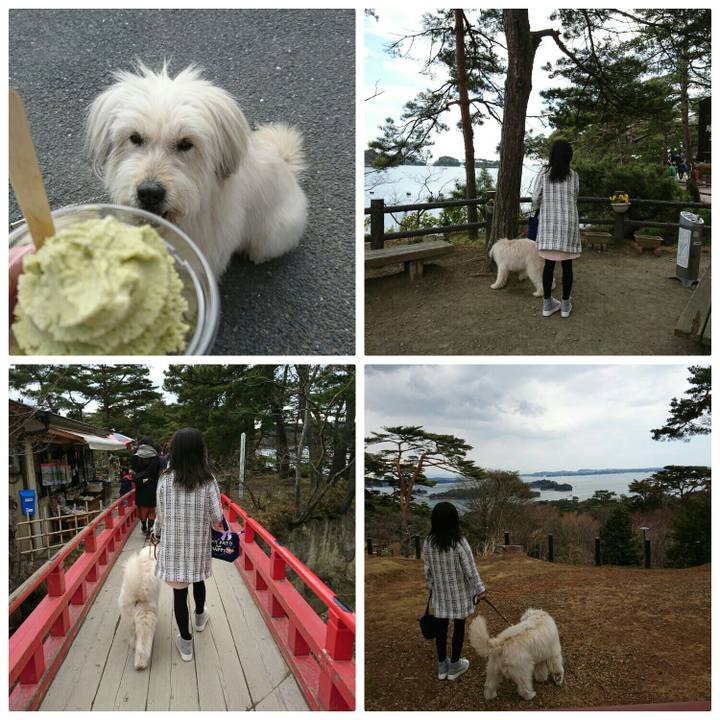 543ac8ab 9bd1 4897 bafc 6a9e18c74cf0