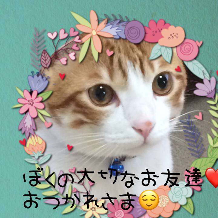 543b5fcc b71e 4f4c 8ddf 7b52ad7c0760