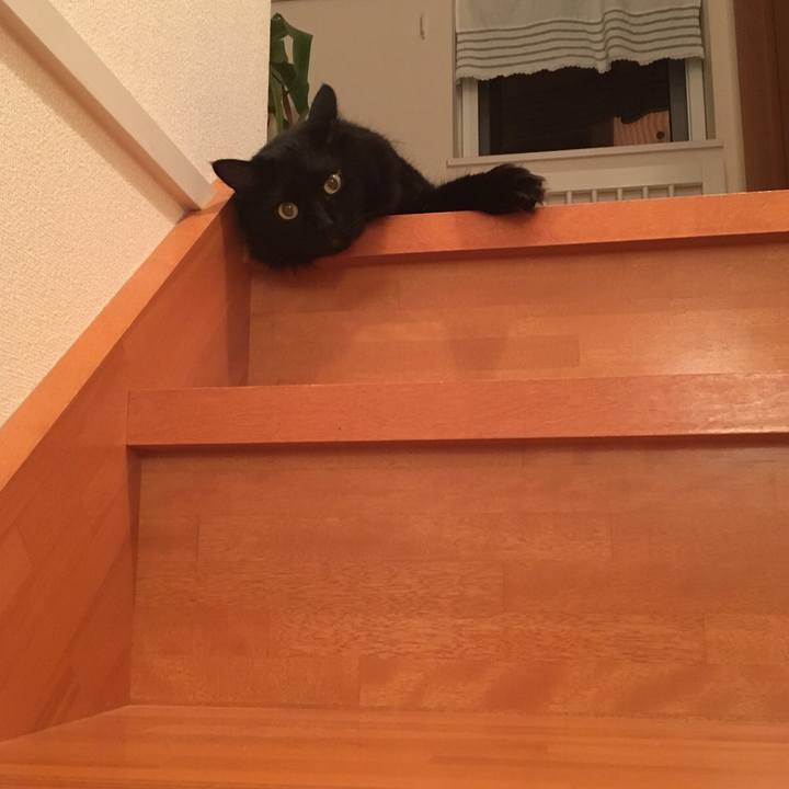 543be88e a00e 42db a785 692a89355977