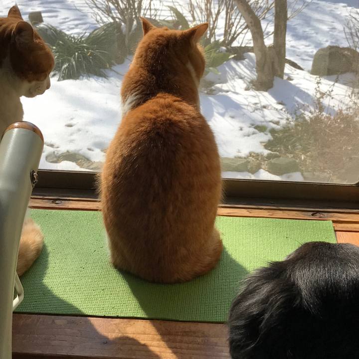 543c2006 eec7 4d9d b476 34869b594658