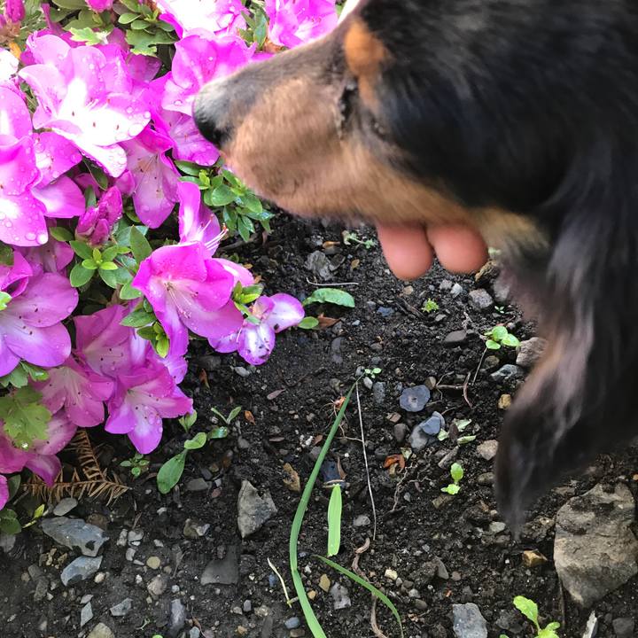 543d39ac 6381 4a8b 8079 09634840964c