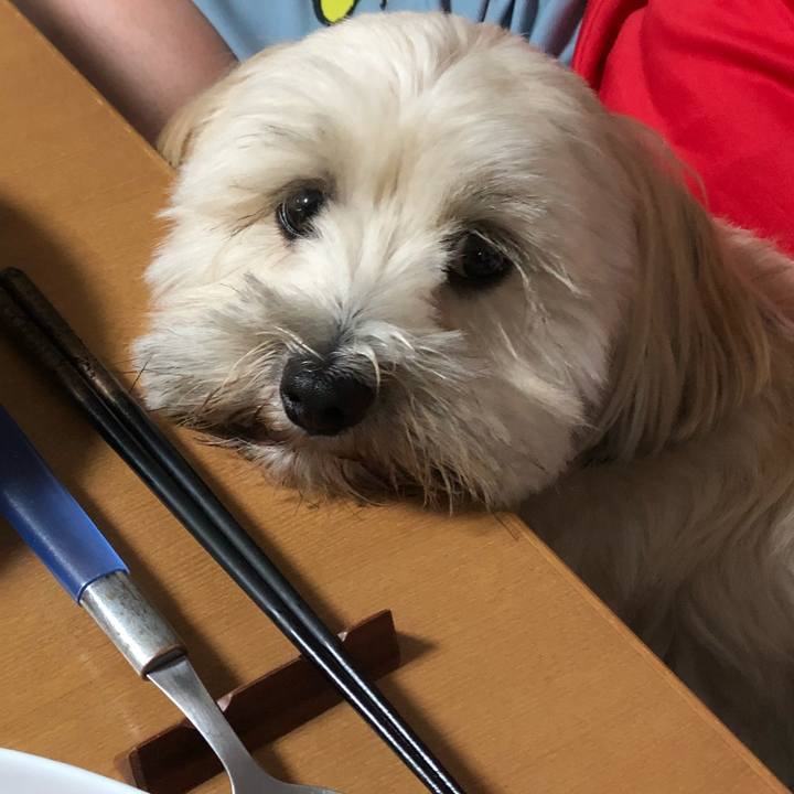 543d5e65 14e8 42b5 9a9c ac9ae1e64473