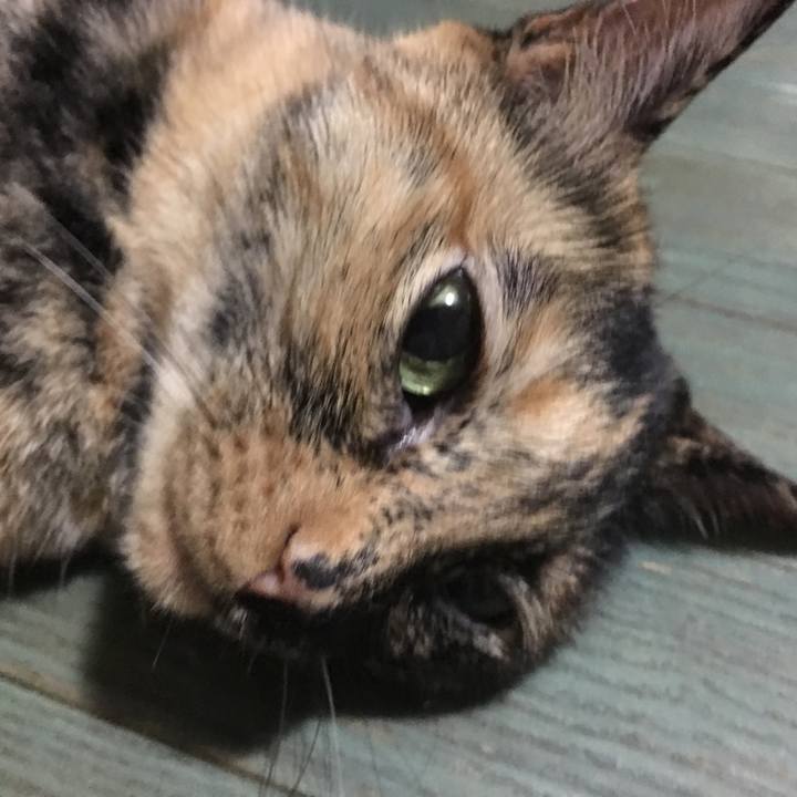 543d9135 935b 4c36 8efd 8bb61d07043c