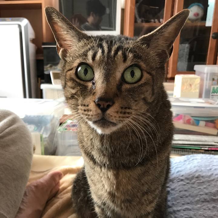 543e54a3 c65b 42c0 a261 716f06712f44