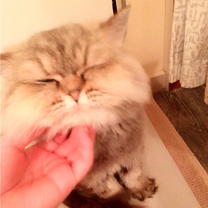 543f2be0 f55e 4874 a7af 83cf081da33a