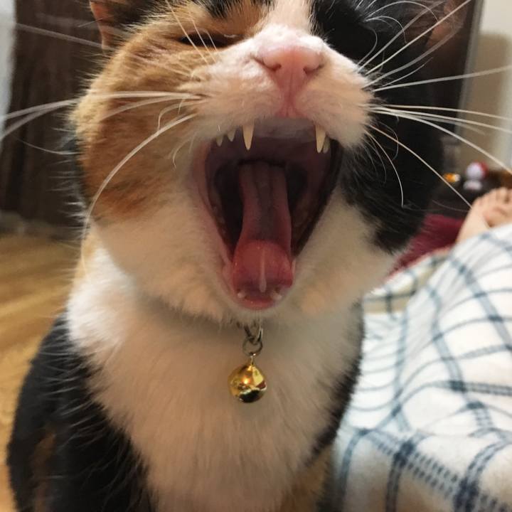 543fadba 55f0 4c87 a36e 1ae5aaf21b6a