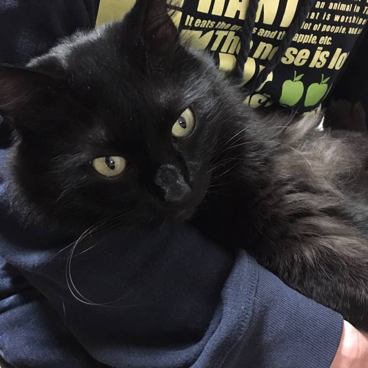 544074c4 de64 449a a222 0dcf8a762404