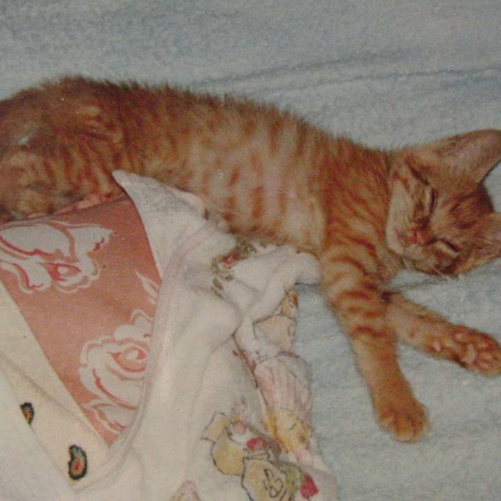 5440d2a0 6e4a 4309 a0c0 8d2f18343845