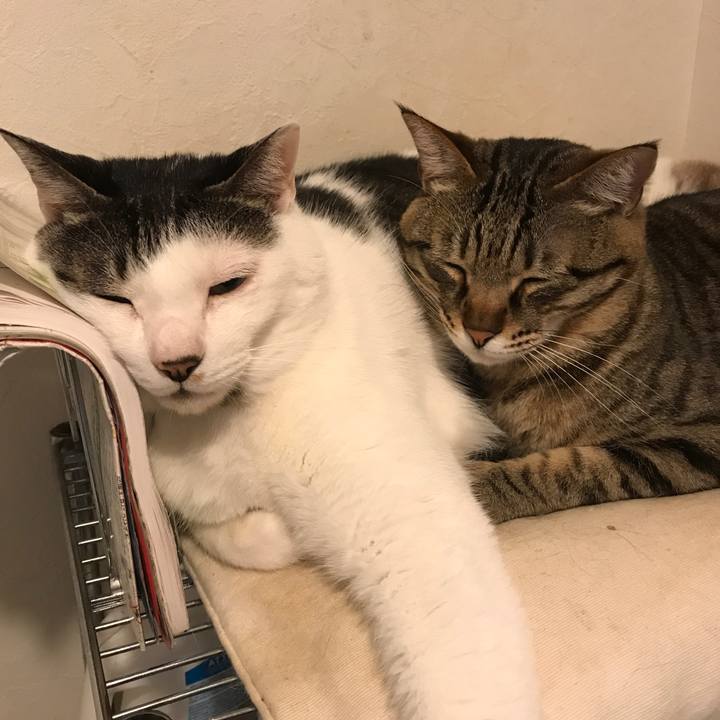 5440dd03 4435 43ed bc3e 035d012c307a