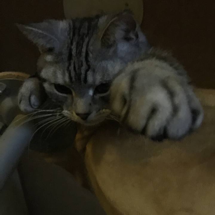 54415f26 1751 449f aabd a8ecd4d8309e