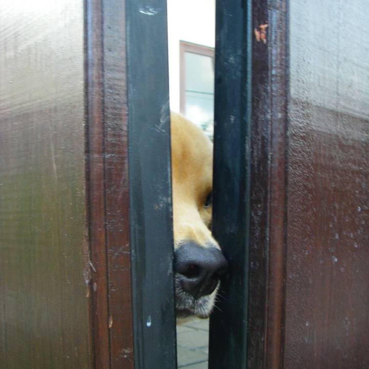 544183a3 0960 4987 8cbb 55ac4e43a545