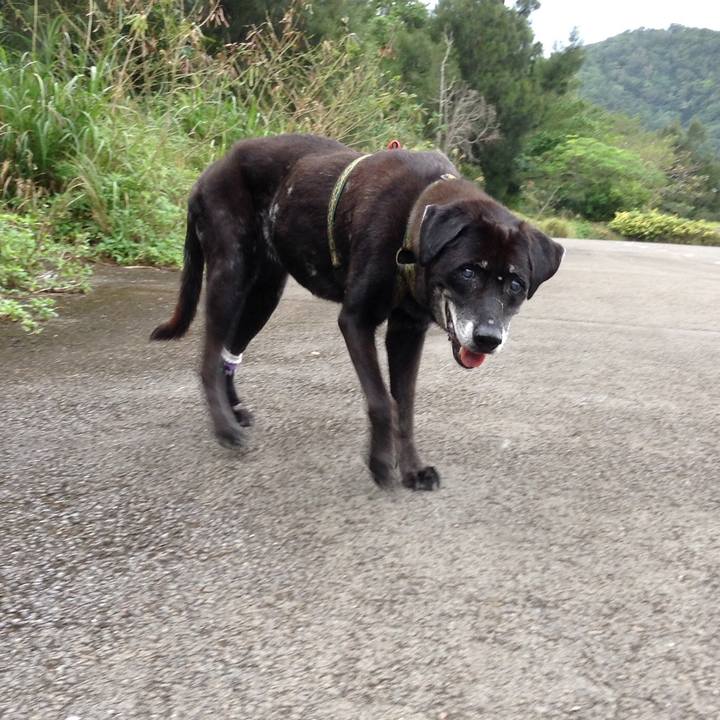 5441d6f1 27ab 4837 b4c8 e1be7f7c7863