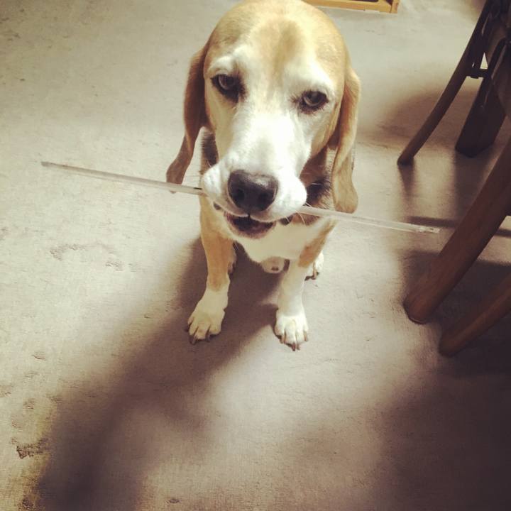 54421114 fa20 4ed1 9fb9 aef36040a396