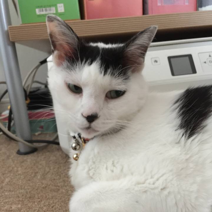 544293c9 d377 4cbc a49f 68a94035912d