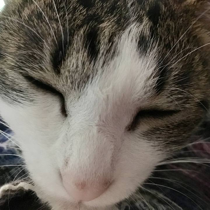 5442a56e 3baf 419e a024 b88b7ad347cc