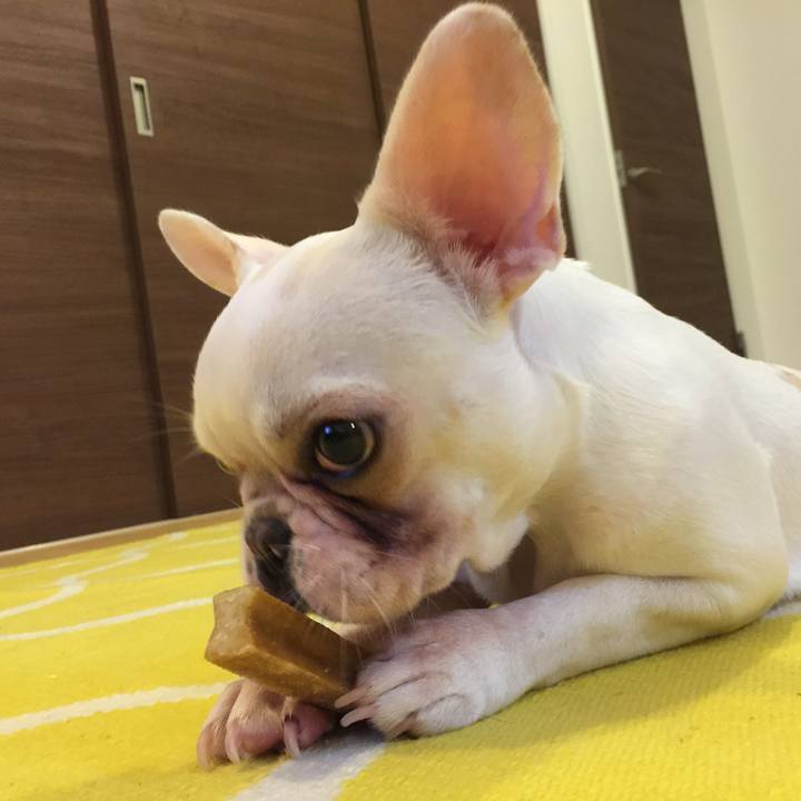 5443779a 3da4 4145 a03b 766de03df79b