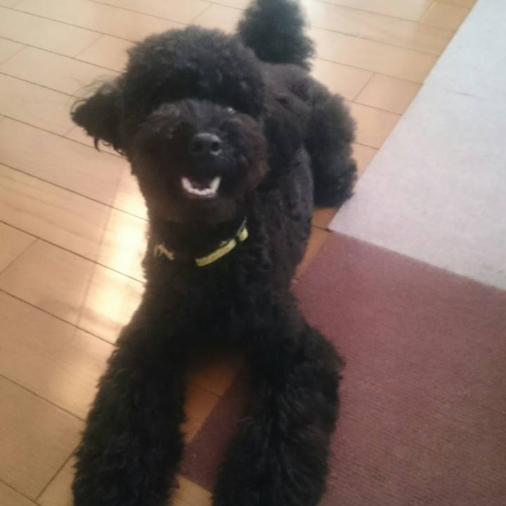 5443f76d dc09 46c6 b34f b895616b1028