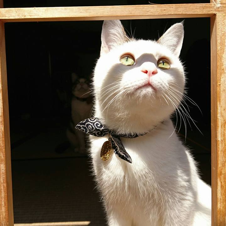 54444e37 de67 4172 8e3e 1fd5715f8a5c