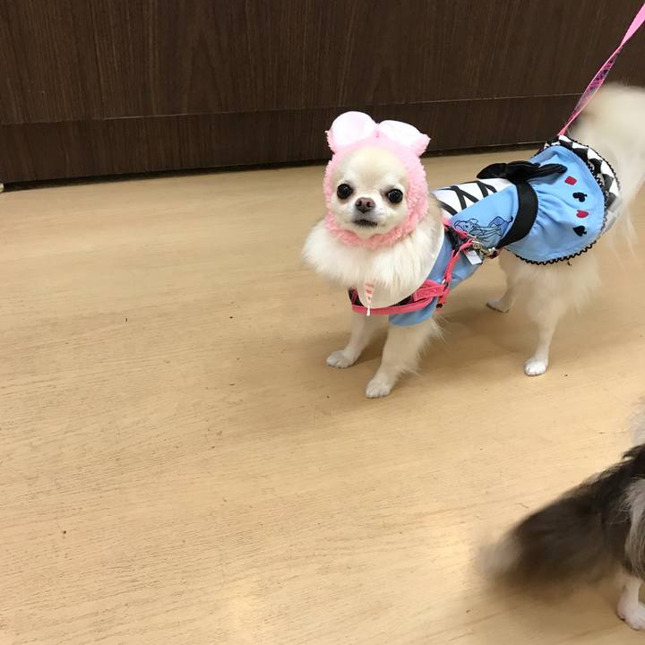 5444da2a 9001 4eed af24 4de663b75850