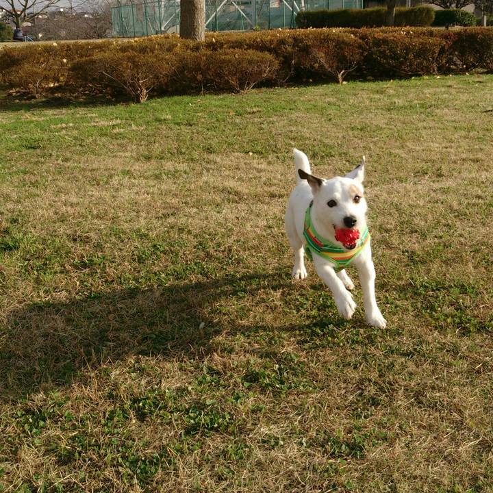 5445a6e9 c725 4145 9083 9d1d86ca038f