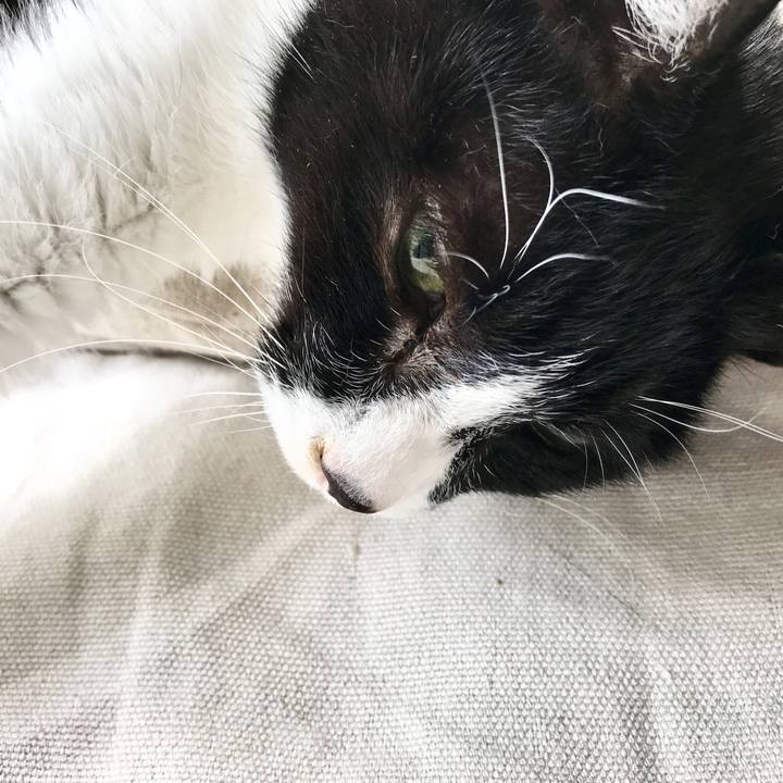 5445f372 8eb3 4891 98f5 b7e3981acbbe