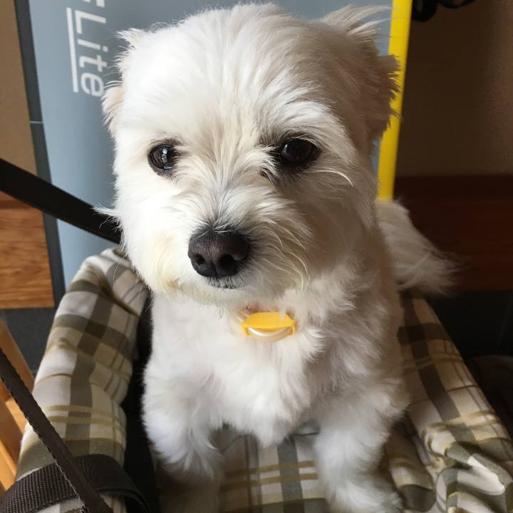 54462d6a 176b 44f2 be3c 88f19b2aa272