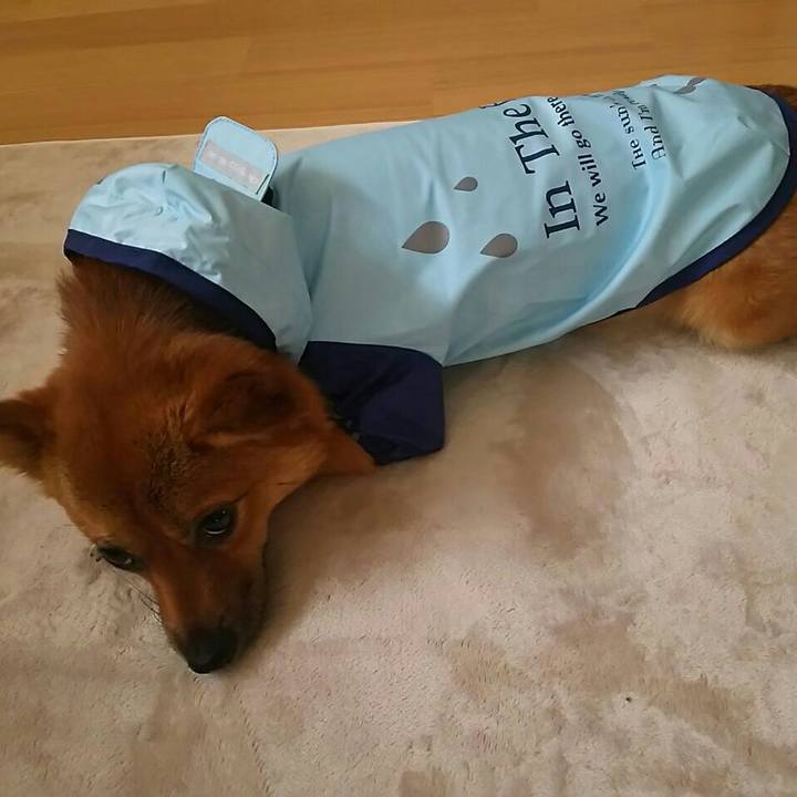 54467916 64c0 44bc b454 c915f6b1864d