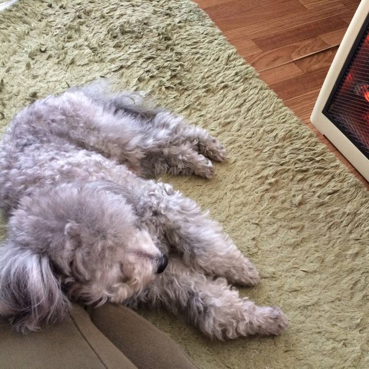 5446d725 4515 4401 9c1c 311f6895d260