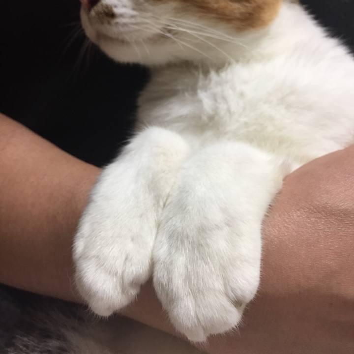 5447313a 5187 4859 b89a 2af56ea20c8b