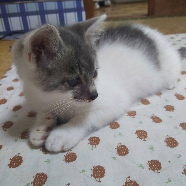 5448746f 6bd3 4317 afd8 98b8c3938e63