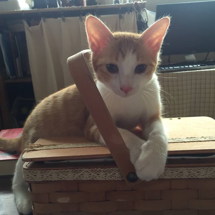 54490c89 20f9 4af8 94e5 87bd457ef7e9