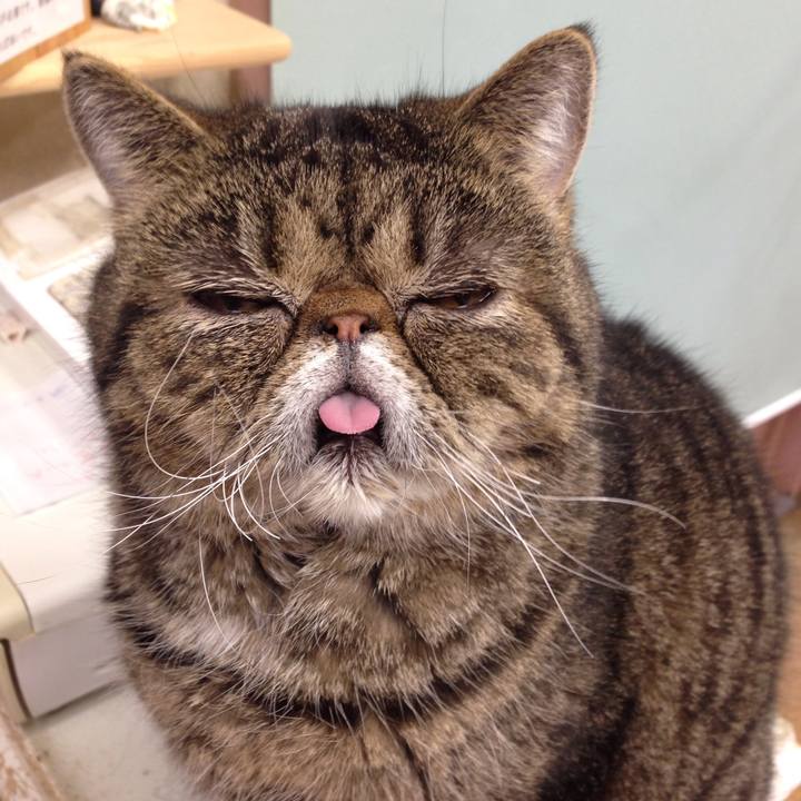 54494bd1 7da8 4d46 9d99 a058eaea132b