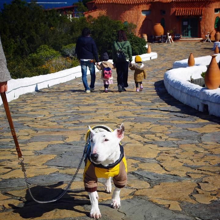 54495dd7 311e 4450 9dd9 0965a88f262f