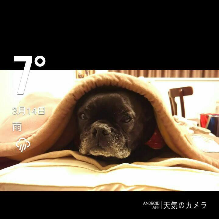 54497ffa b1c1 4c94 b276 cf05c410f4bd