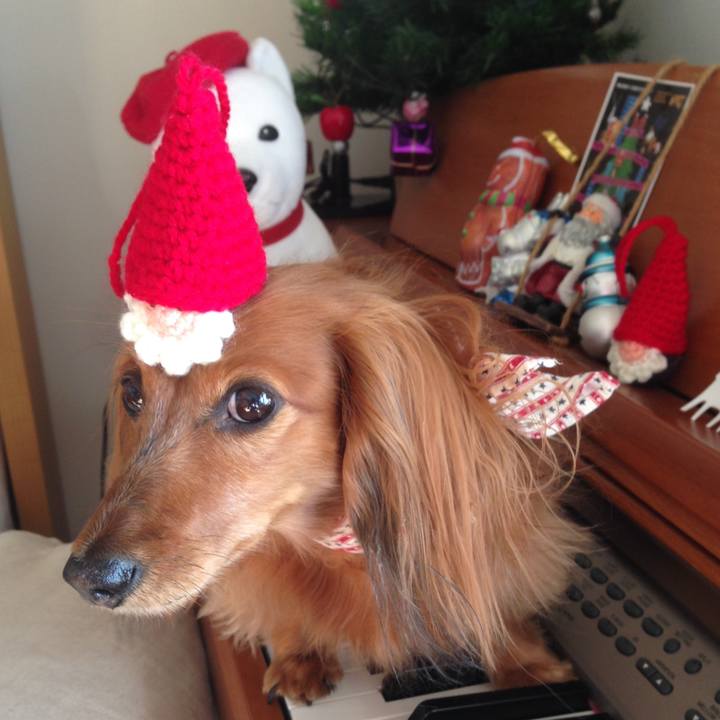 5449c579 4eff 4706 832e aa7ffb565573