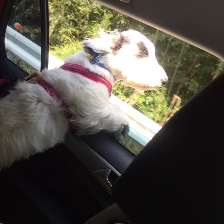 5449d033 0862 44c7 87f9 21d094c8d674