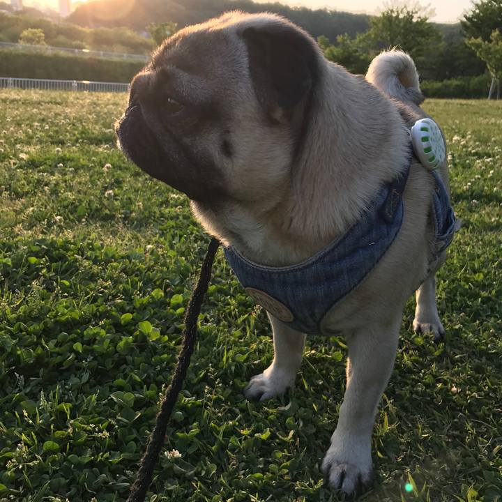 544a4020 ceb5 4851 a69b db0ee8590026