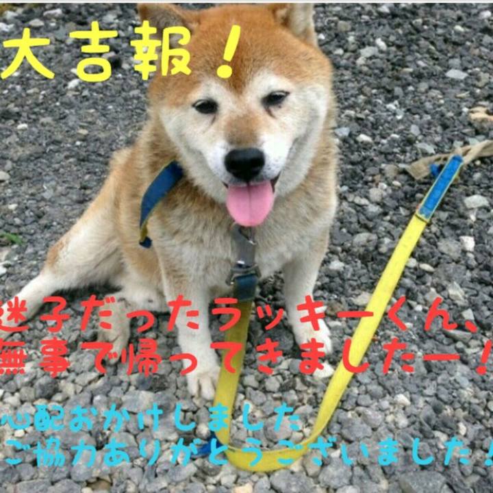 544a508a f766 42c3 97c9 5f1709a79934